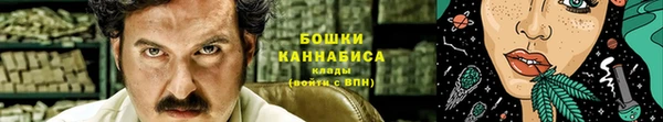крисы Каменногорск