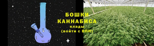 спиды Иннополис