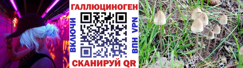 Галлюциногенные грибы GOLDEN TEACHER omg зеркало Красновишерск